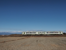 Ln111-204